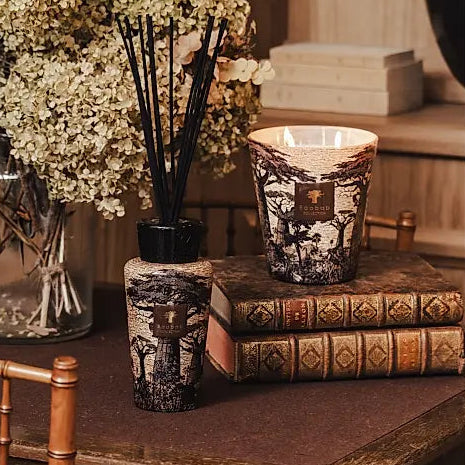 Sacred Trees Mankono Scented Candle | Baobab Collection