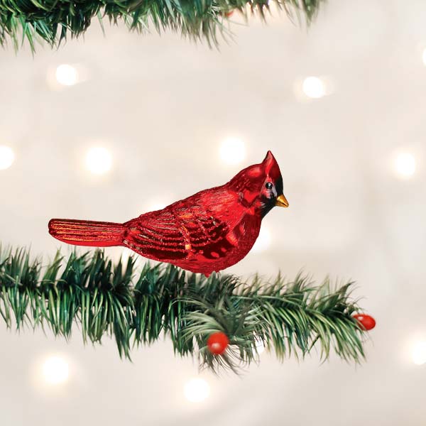 Shiny Red Northern Cardinal