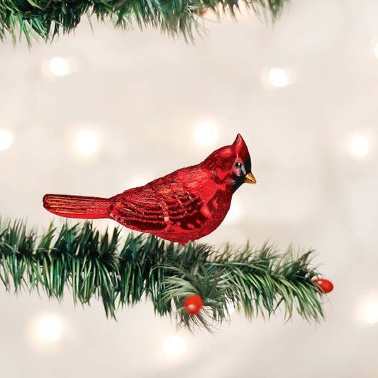 Shiny Red Northern Cardinal