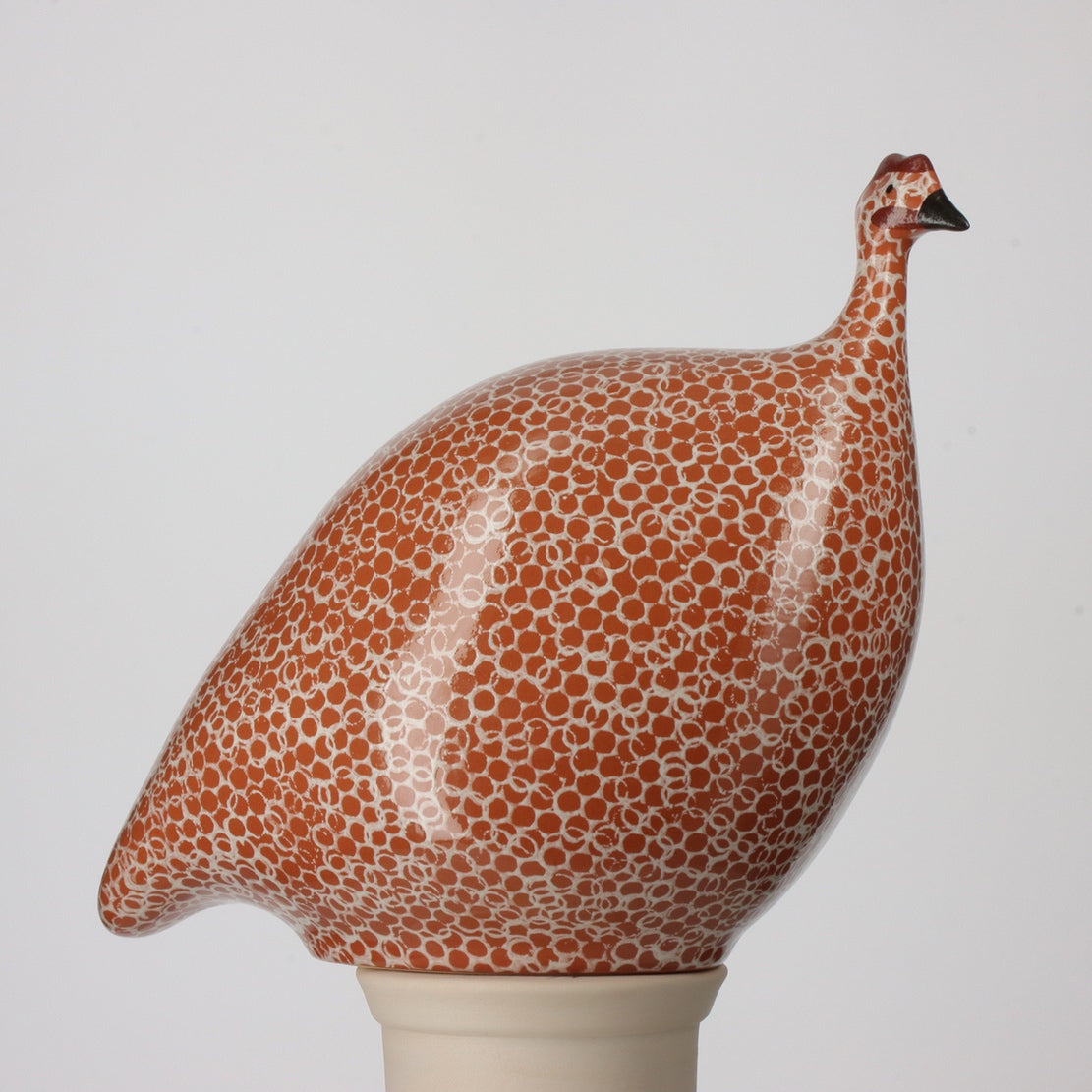 Guinea Fowl Red Spotted White Medium