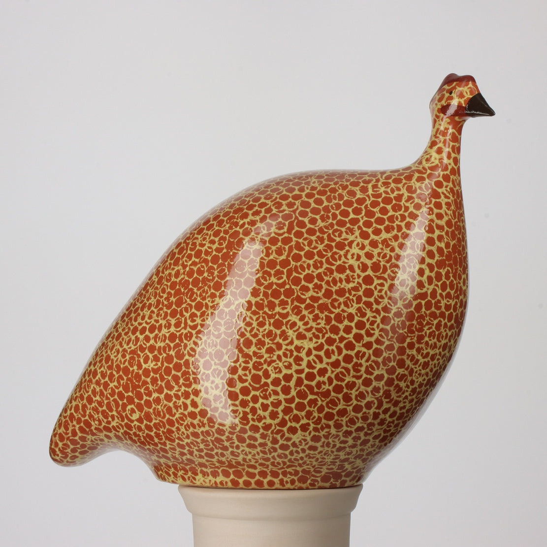 Guinea Fowl Red Spotted Yellow