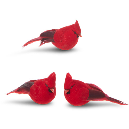 Cardinal Clip On Ornaments, Raz Imports