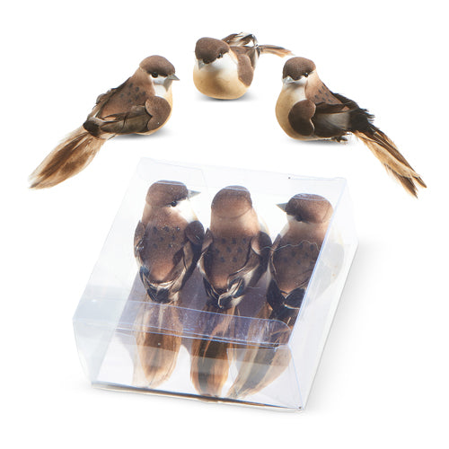Box of Clip On Birds 4"