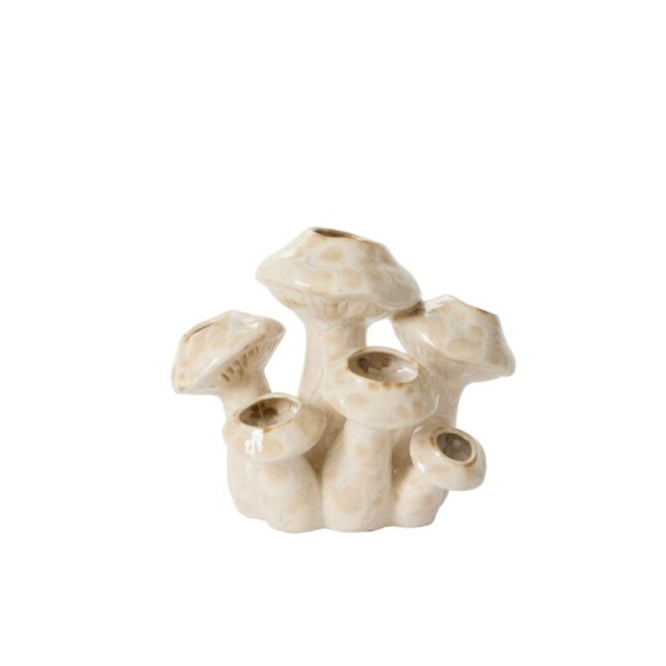 Enoki Mushroom