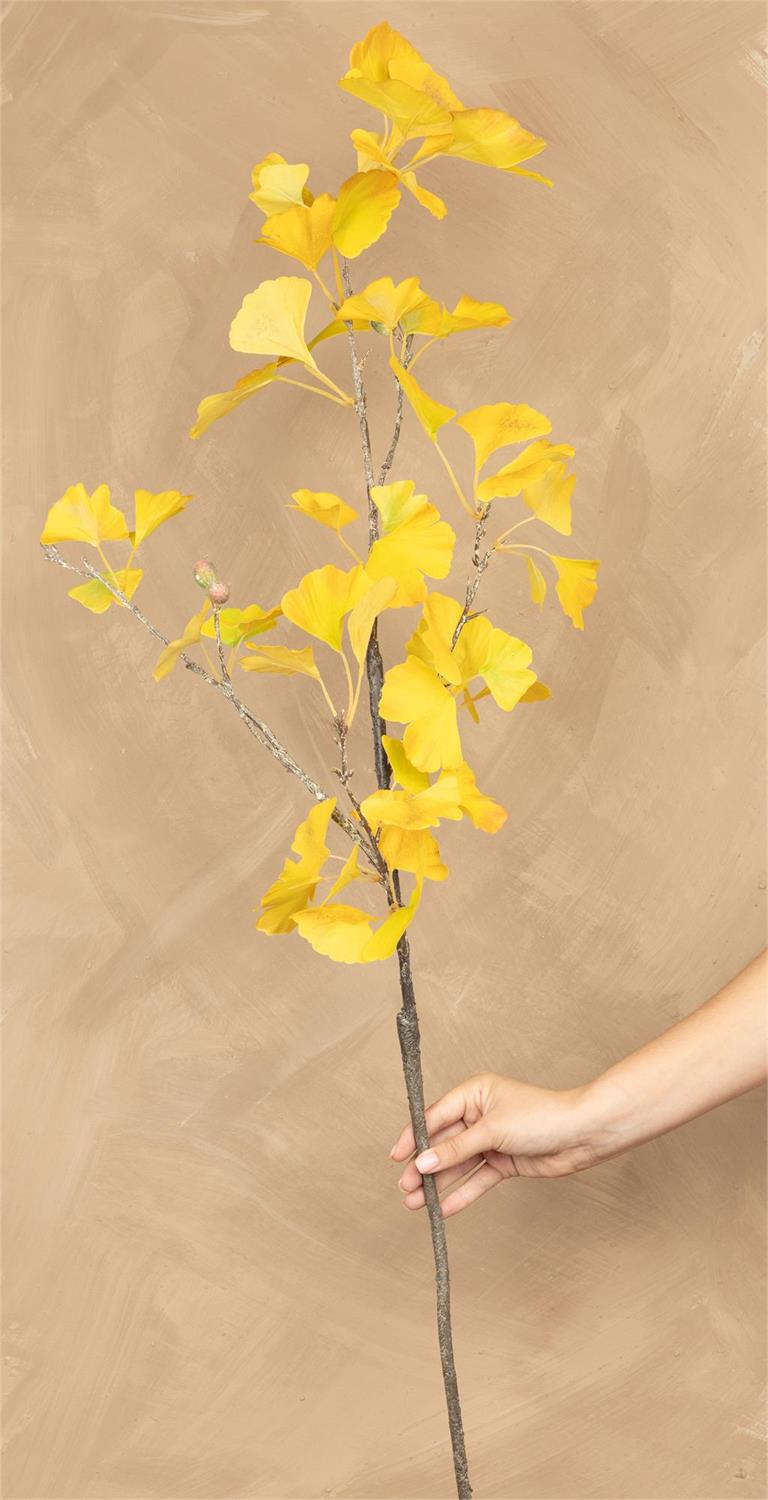Yellow Gingko Stem