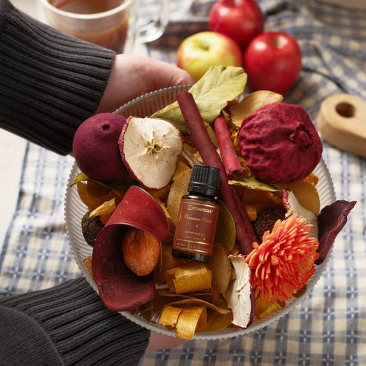 Cinnamon Cider Aerosol Spray, 5 oz.