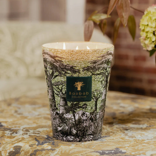 Sacred Trees Touba Scented Candle | Baobab Collection