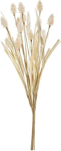 16" Bunny Tail Pampas Grass Bundle