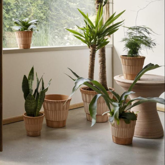 Berg's Potter Raw Rosa Atlas Pot