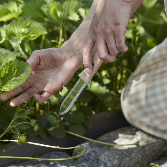 Japanese Hori Hori Garden Knife Set
