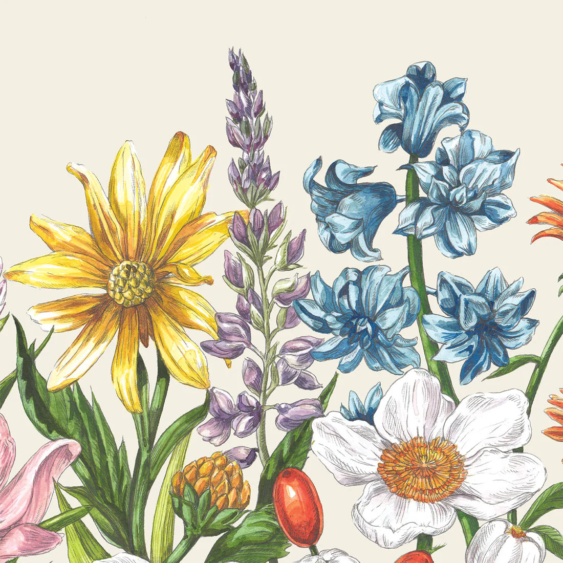 Wildflower Cocktail Napkins, Pack of 20