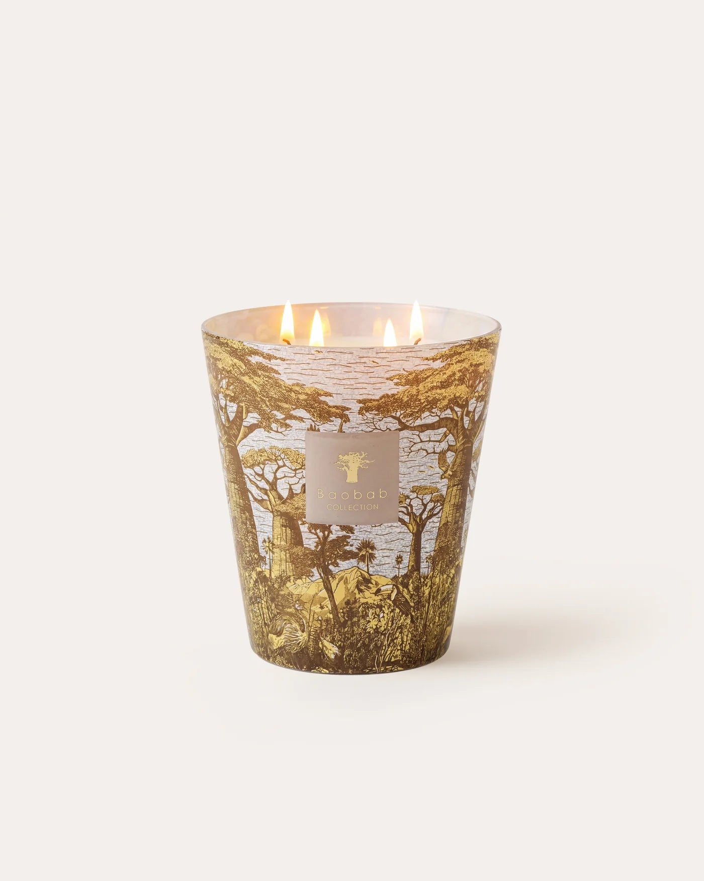 Sacred Trees Bounkani Scented Candle | Baobab Collection