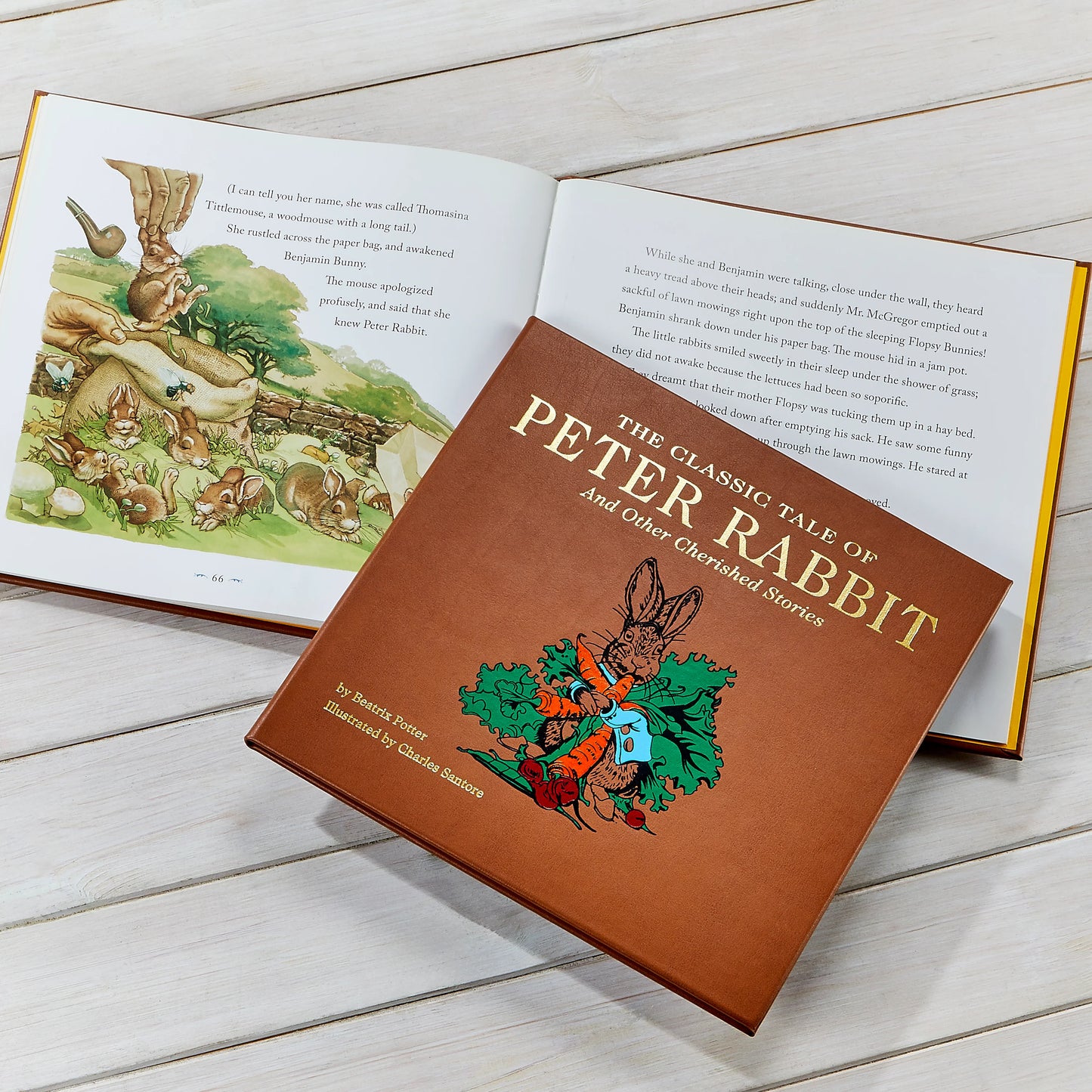 The Classic Tale of Peter Rabbit Leather Edition