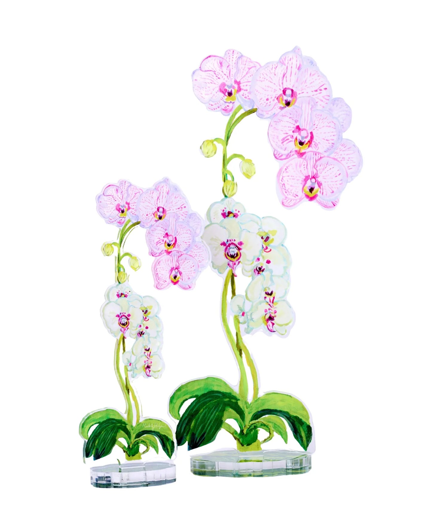 Pink Stripe Orchid Large Acrylic Flower