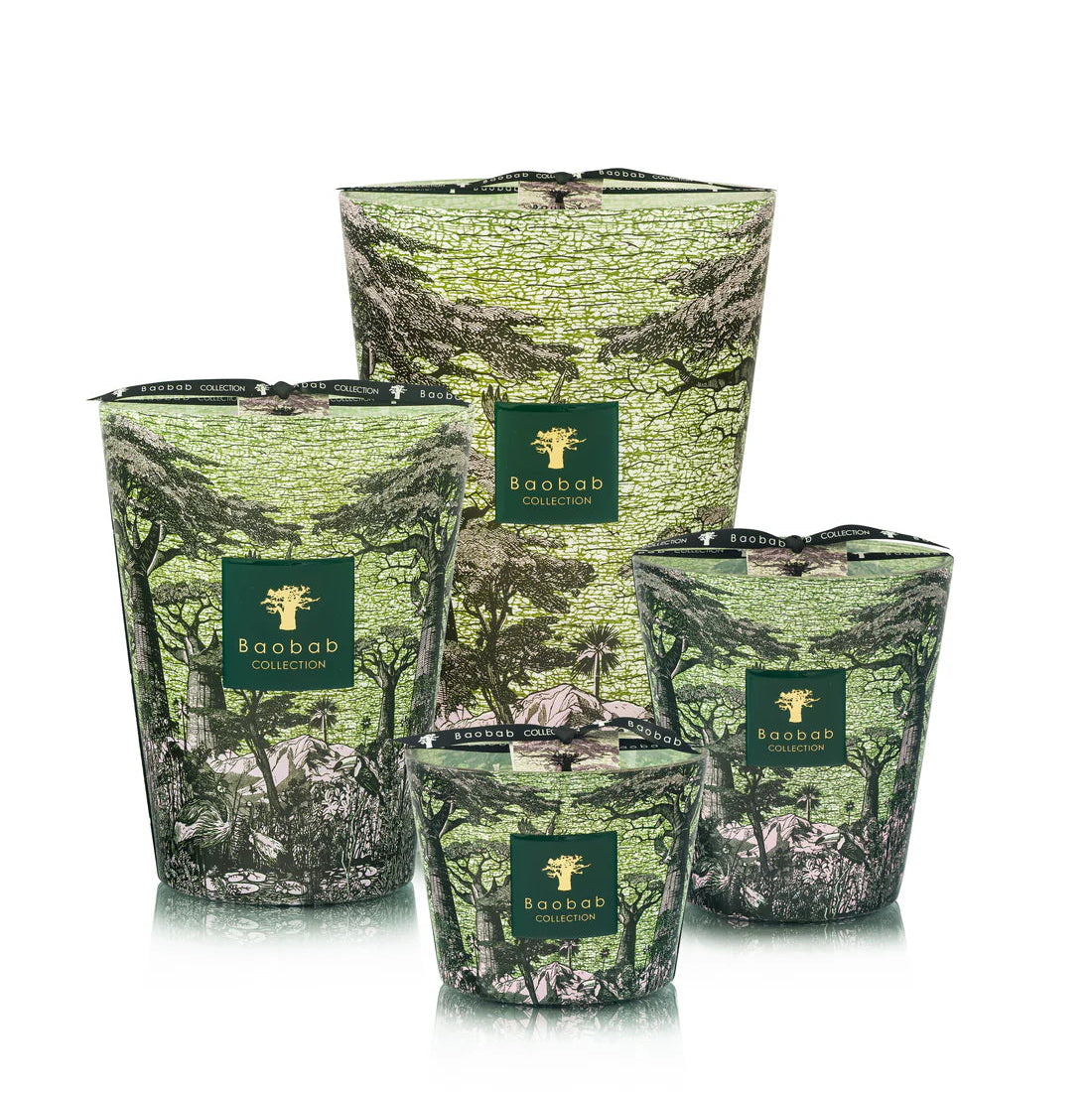 Sacred Trees Touba Scented Candle | Baobab Collection