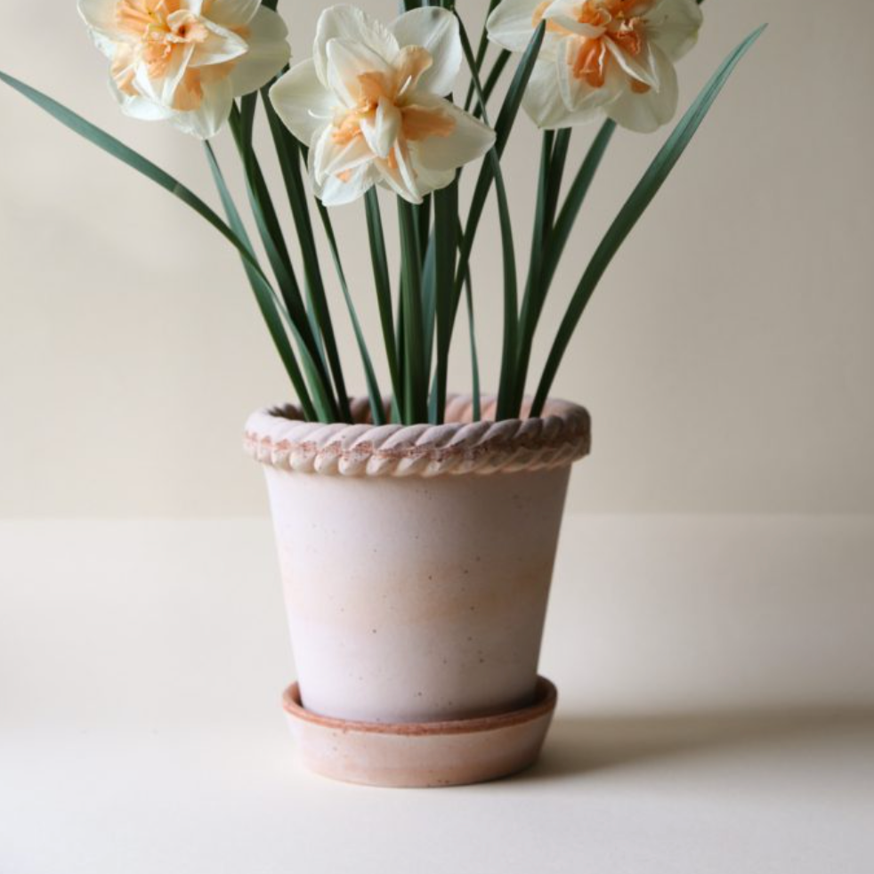 Berg's Potter Raw Rosa Emilia Pot