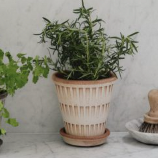 Berg's Potter Raw Rosa Pantheon Pot