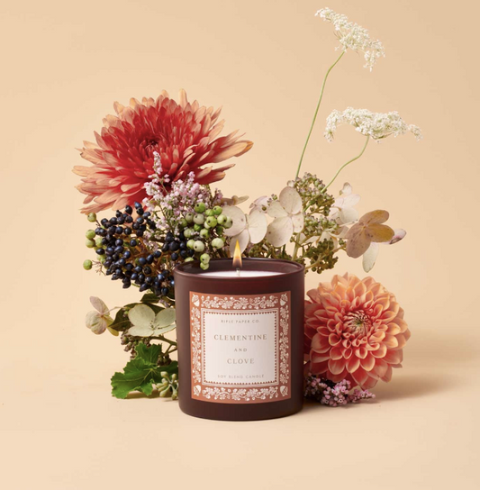 Rifle Paper Co. Clementine & Clove 9 oz. Candle