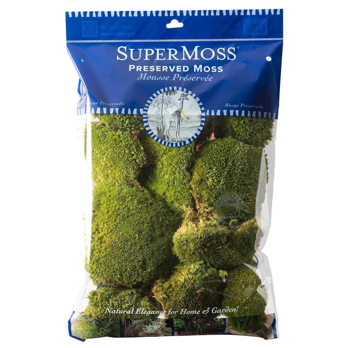 Preserved Topa Moss