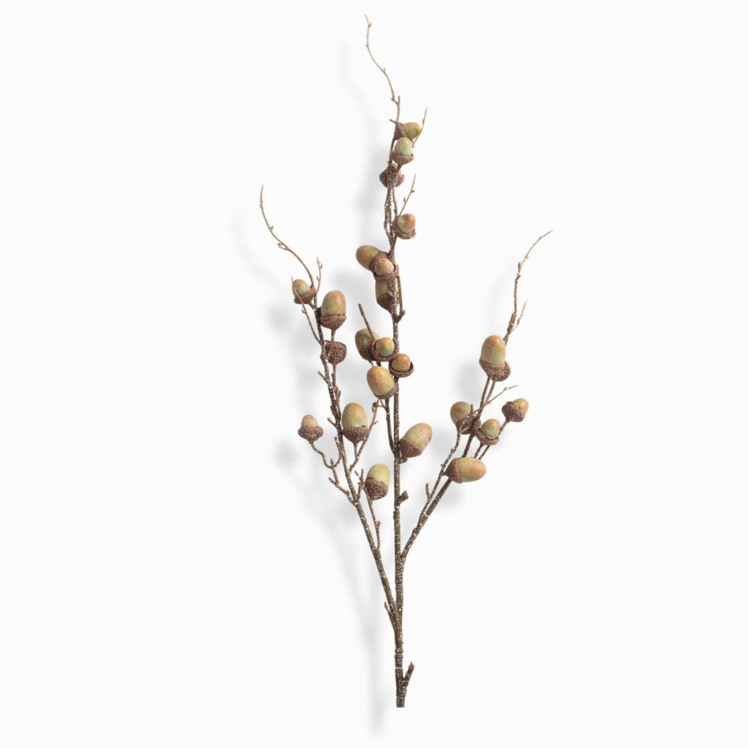 Green Acorn Spray