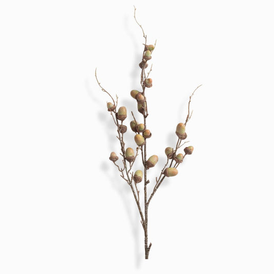 Green Acorn Spray