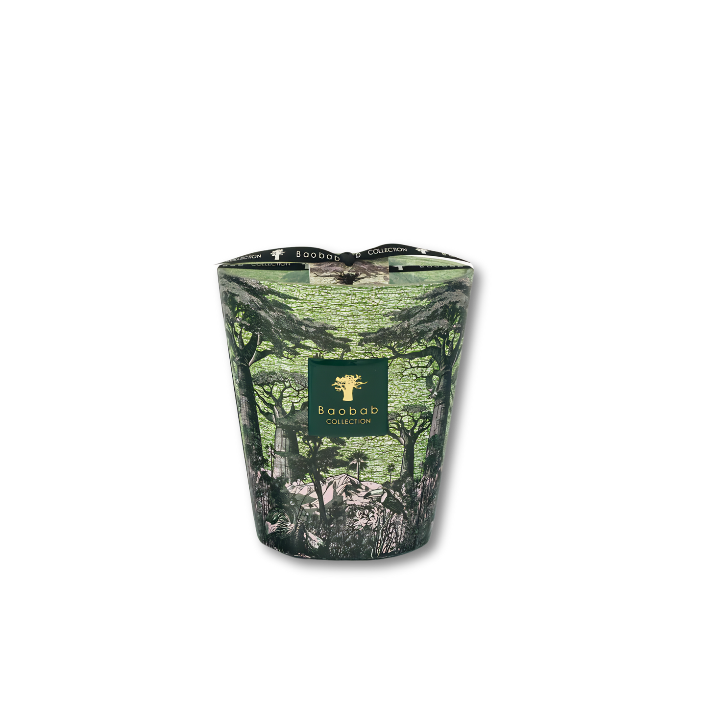 Sacred Trees Touba Scented Candle | Baobab Collection