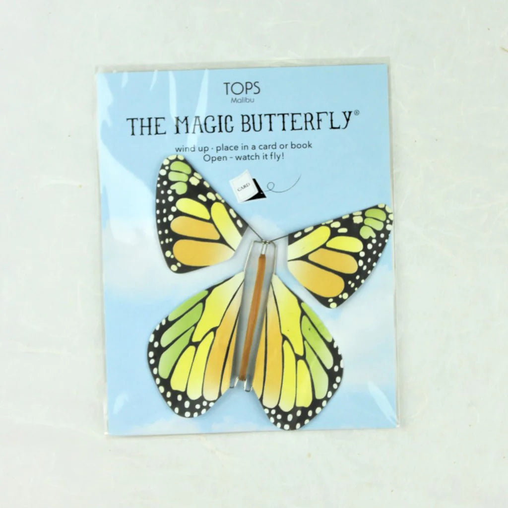 Flying Magic Butterfly Rainbow Assortment