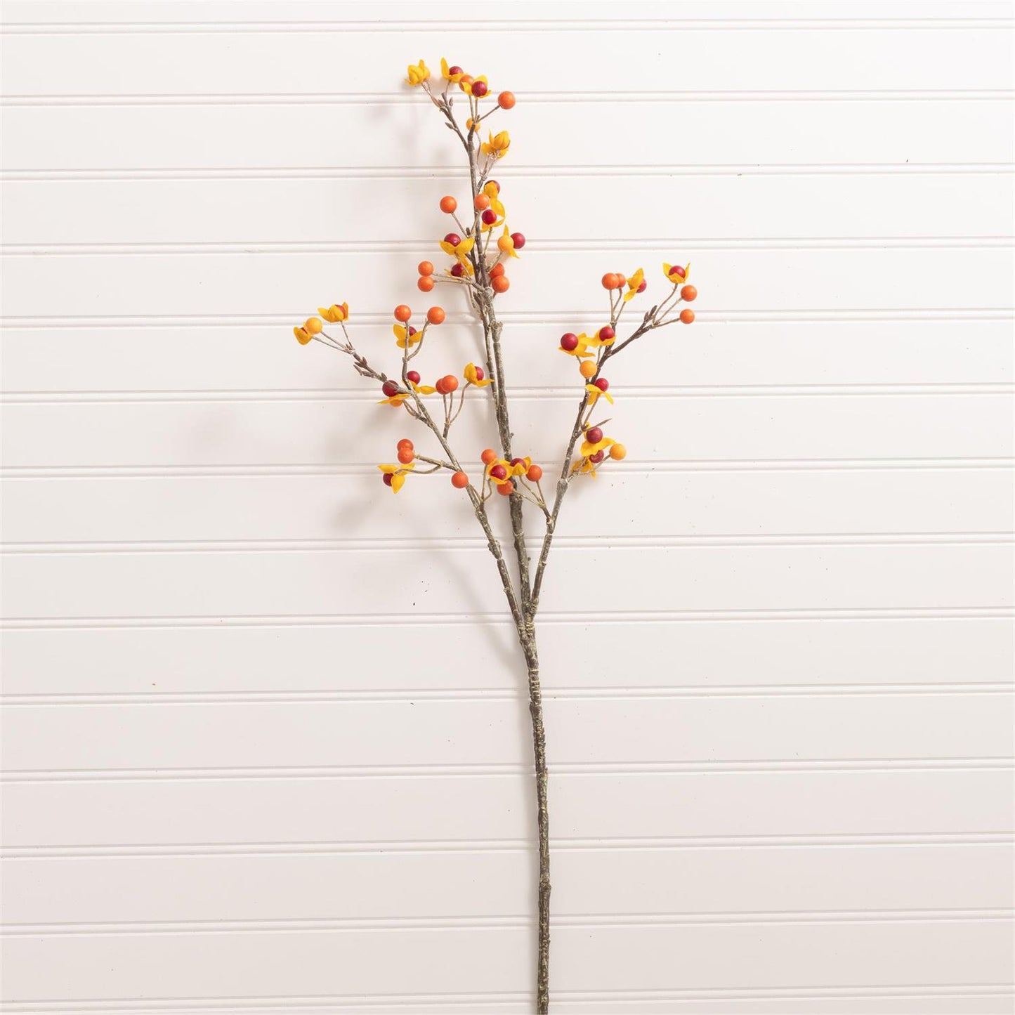 Bittersweet Branch
