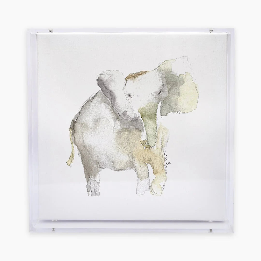 Elephant Acrylic Shadow Box Print, Anne Neilson