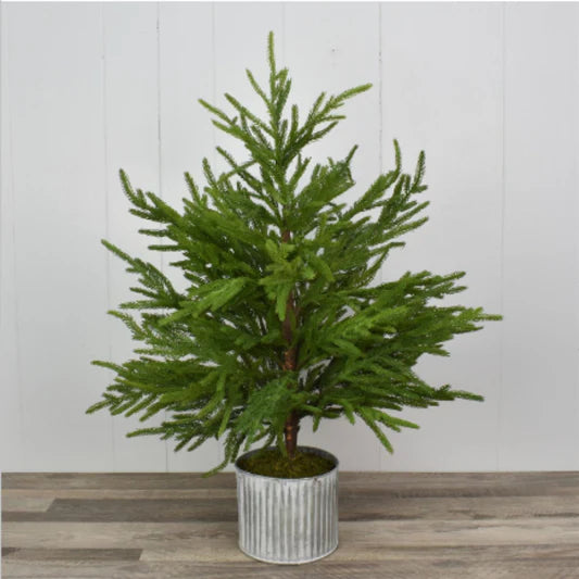 28" Norfolk Pine Tree in Galvanized Base