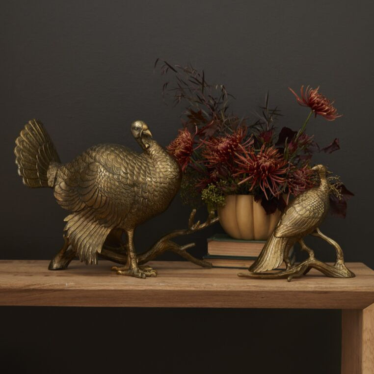 Merriam Turkey