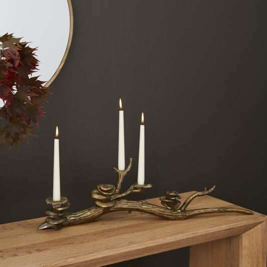 Oyster Mushroom Candleholder