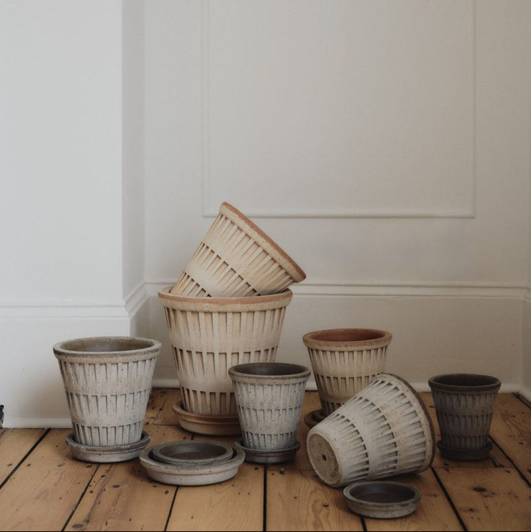 Berg's Potter Raw Rosa Pantheon Pot