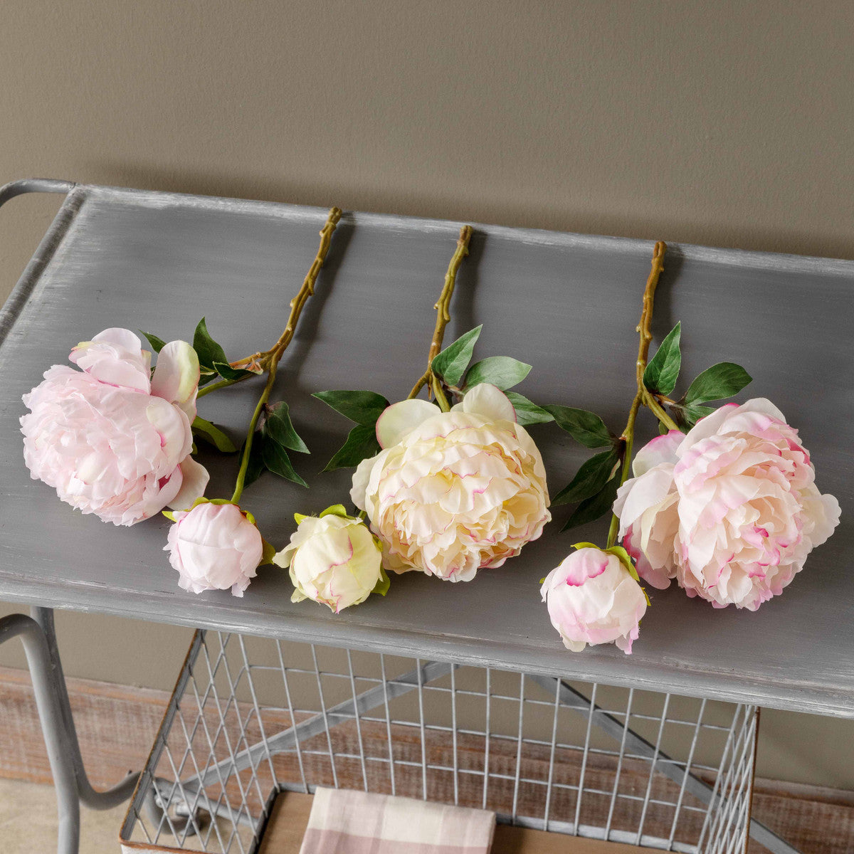 Garden Peony Cuttings – Gourmet & Co. Home