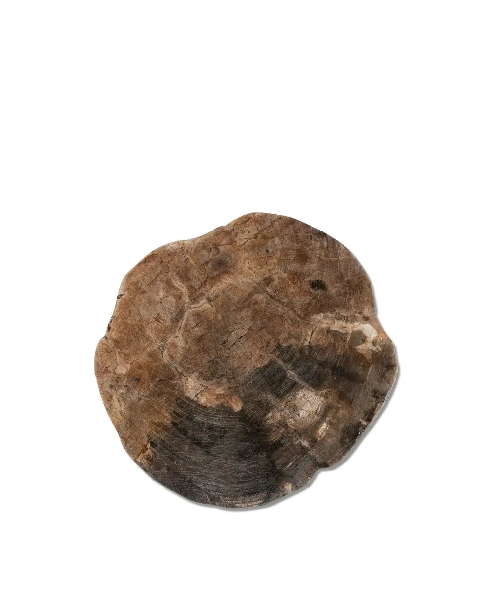 Petrified Wood Trivet with Polished Edge - Montes Doggett