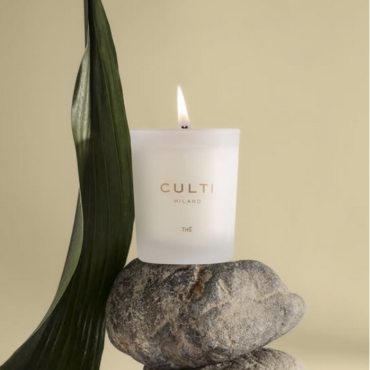 A crisp, white candle on a light background perched on a rock next to a snake plant leaf