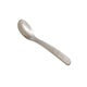 Acrylic Dipping Spoon