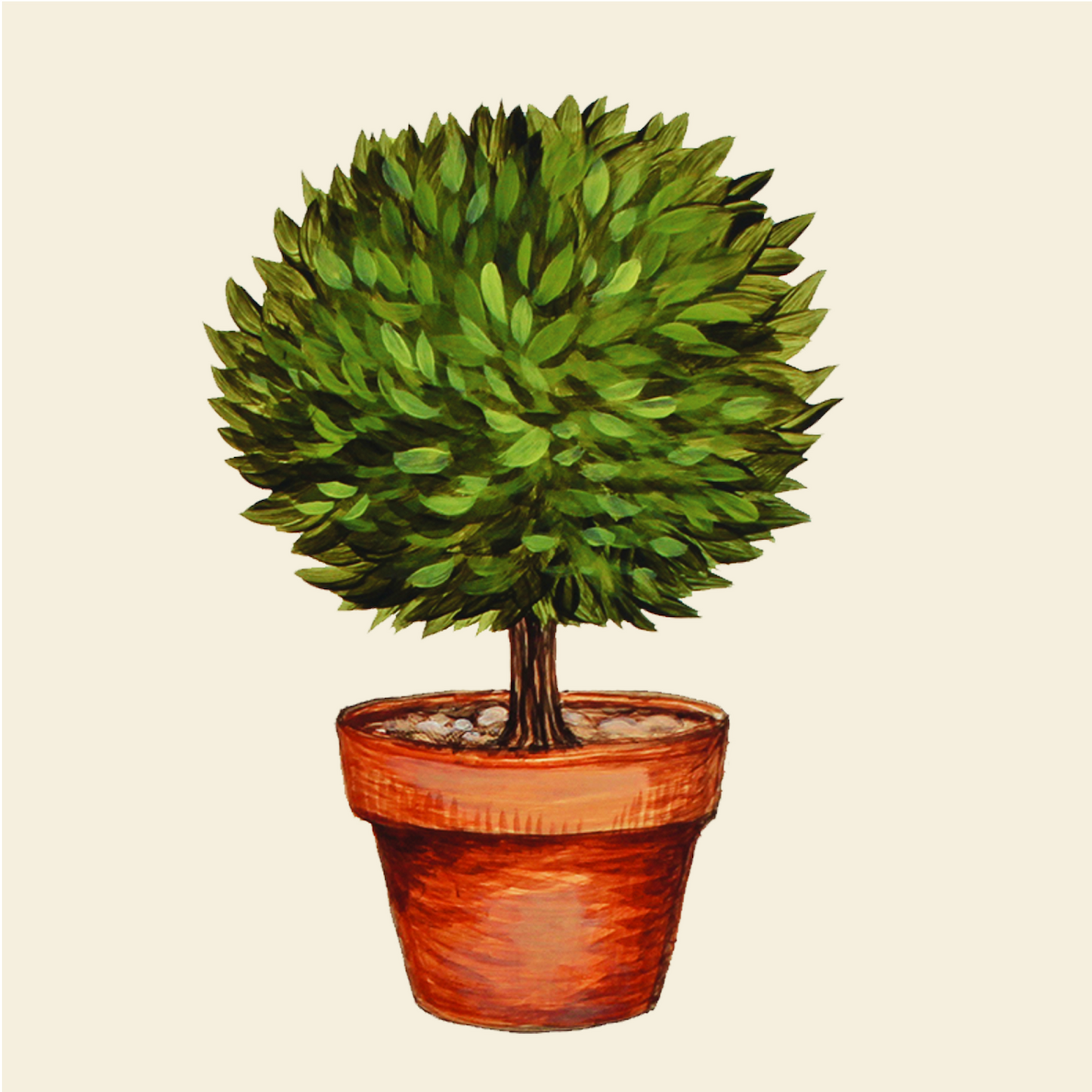 Hester & Cook Topiary Cocktail Napkin - Pack of 20