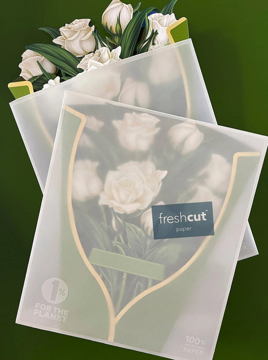 Fresh Cut Paper White Roses Pop Up Greeting Card