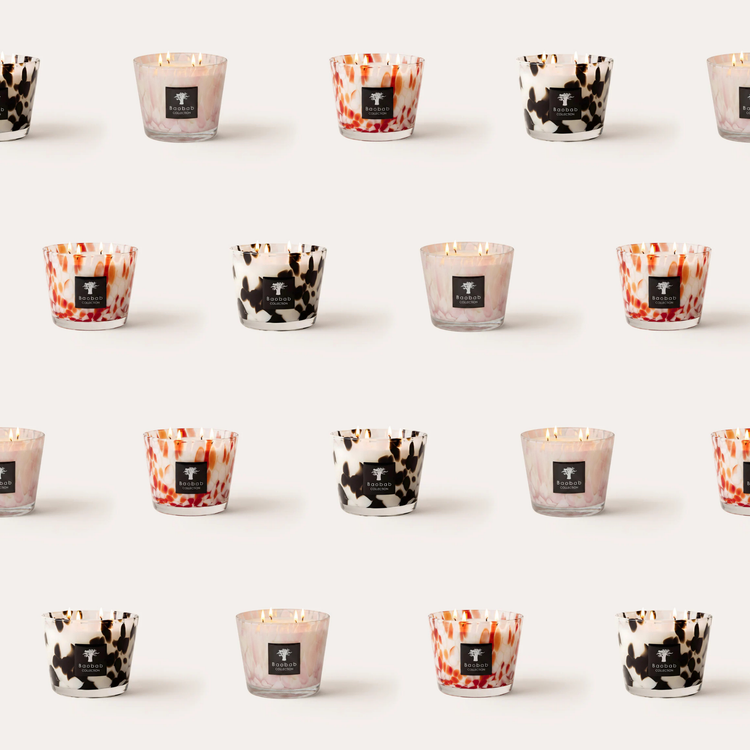 Baobab Candles, Johnson City TN