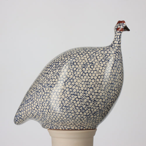 Guinea Fowl White Spotted Cobalt Medium