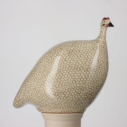 Guinea Fowl White Spotted Grey