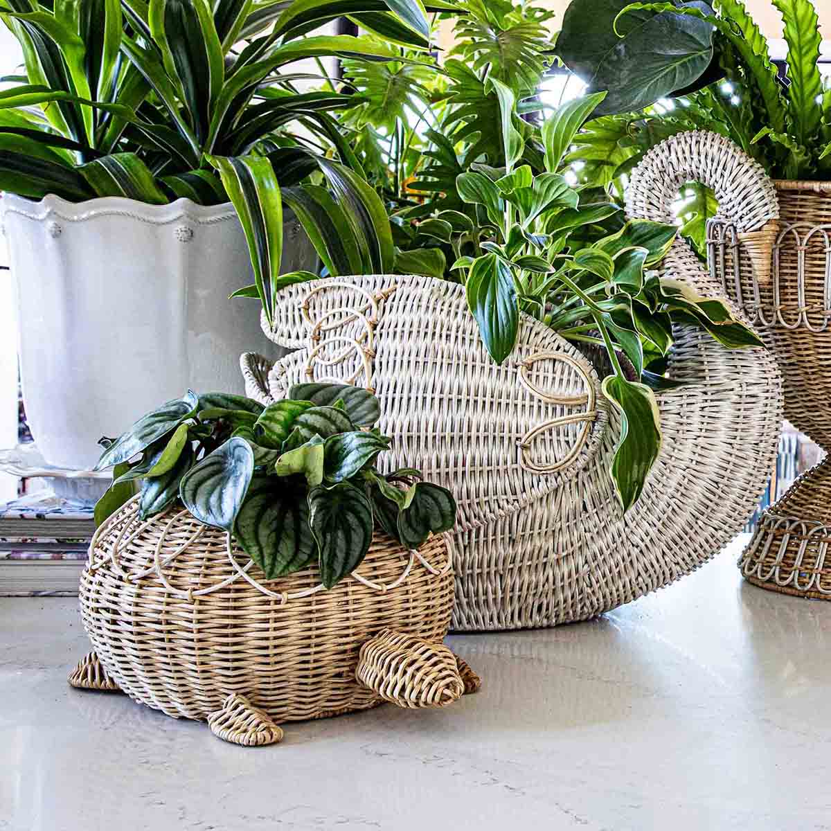 Juliska Provence Rattan Whitewash Turtle
