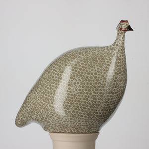 Guinea Fowl White Spotted Grey Small