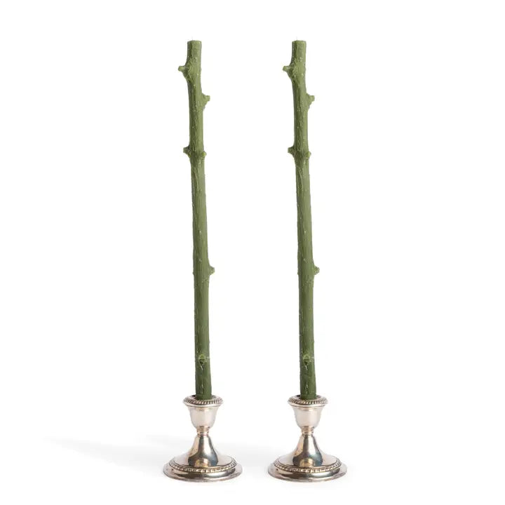Two green twig candle holders with silver bases on a white background