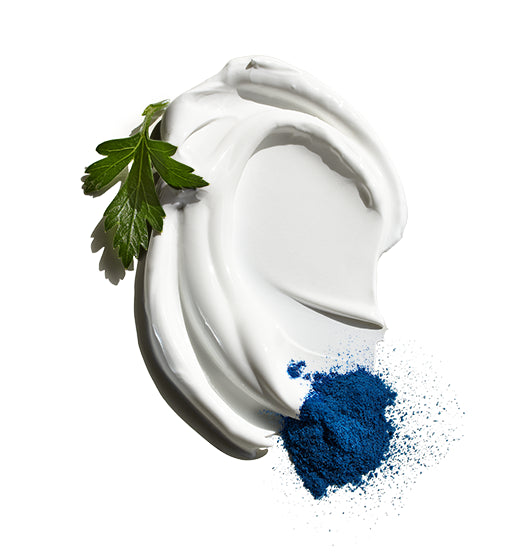 Jack Black Double-Duty Face Moisturizer SPF 20 with Blue Alga