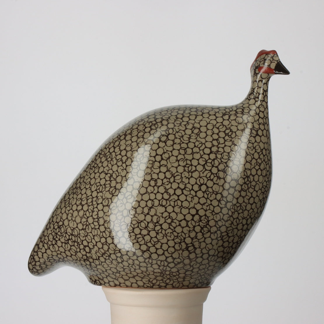 Guinea Fowl Grey Spotted Black