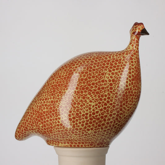 Guinea Fowl Red Spotted Yellow
