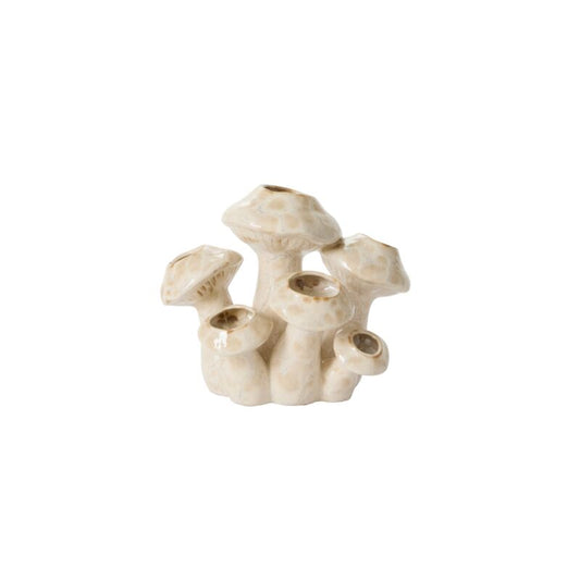 Enoki Mushroom
