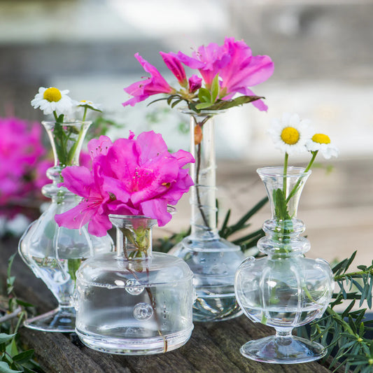 Miss Daisy Bud Vases (Set of 4)